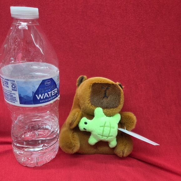 Capibara - Picture 4 of 5